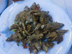 -黄牛肉馆·皖南土菜