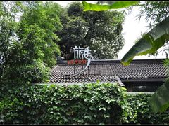 DSC_0110-旅马餐厅(茅家埠店)