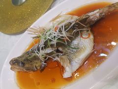 -沧浪亭(临汾路店)