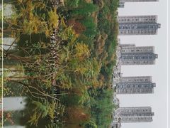 -重庆彩云湖湿地公园