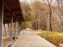 -西湖风景区-江洋畈生态公园