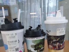 -雾与山茶(大禹城店)
