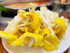 -佳荣老五生态牛肉馆