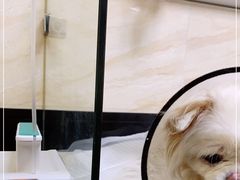 -安安宠医·安宠宠物医院