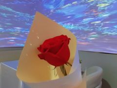 -晶雅花园西餐厅(南京首店)