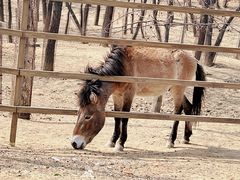 -秦皇岛野生动物园