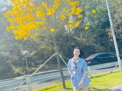 -玫瑰海岸文化旅游度假区