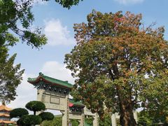 -广东圆玄道观