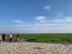 -南汇嘴观海公园