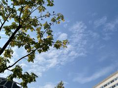 -首都医科大学附属北京天坛医院