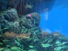 -成都浩海立方海洋公园