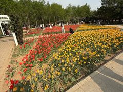 -石家庄市植物园