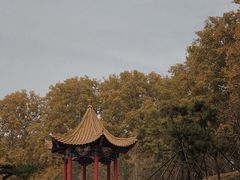 -河南省黄河迎宾馆