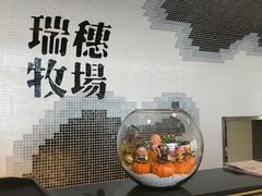-瑞穗牧场