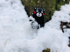 -上色见熊野座神社