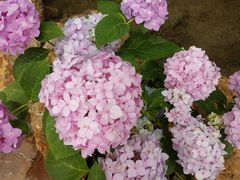 -南通洲际绿博园