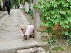 -景德镇古窑民俗博览区