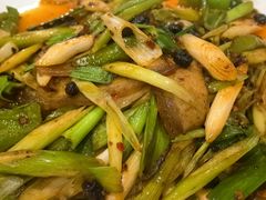 -金熊猫川菜餐厅