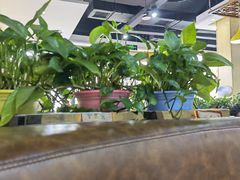 -槐店王婆大虾(长江道店)