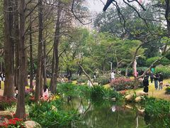 -人民公园(罗湖区)