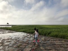 -南汇嘴观海公园