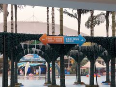 -海合安成都极地海洋公园