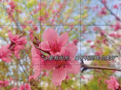 -花溪公园