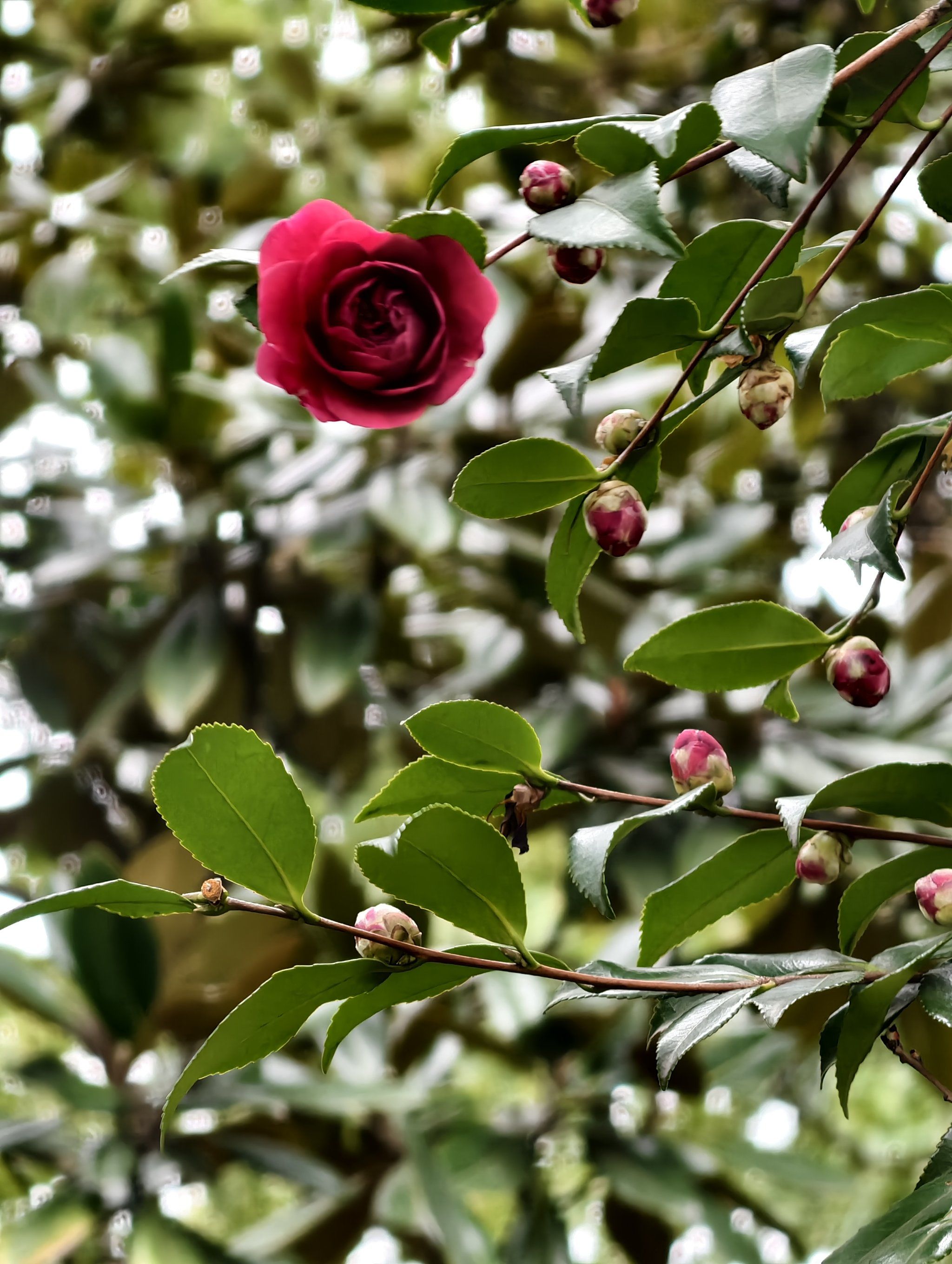 2025第一张冻感大片