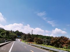 -铁山坪森林公园