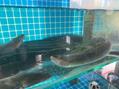 -隐炉和牛烧肉店(群力店)