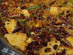 招牌麻辣鱼-胖子鱼·天水麻辣鱼火锅(秦州407店)