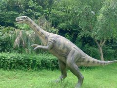 -自贡恐龙博物馆