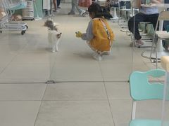 -怪兽屋·羊驼·猫咖·狗咖(俊华广场店)