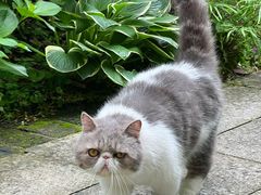 -谷咖啡·鲜花绿植花园餐厅