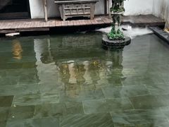 -觀芷隐轩