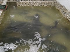 -陈大锅·岳阳鱼馆·地道岳阳菜(美食街店)