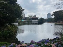 -荔湾湖公园