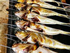 -东戴河风景区-止锚湾