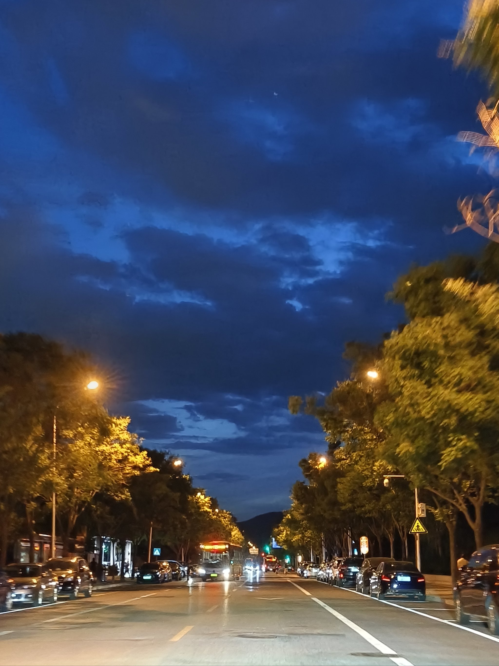 夏天夜晚的景色图片