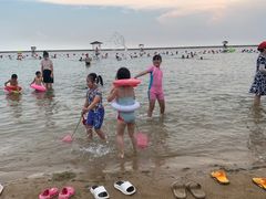 -碧海金沙