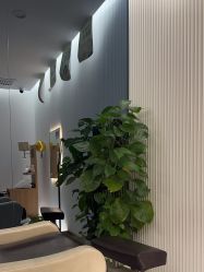 -丝域养发馆