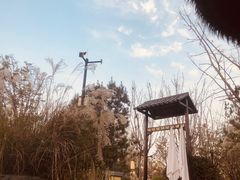 -太白山御龙湾温泉