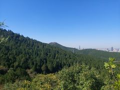 -佛慧山