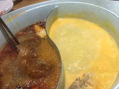 -青瓷火锅料理(西单大悦城店)