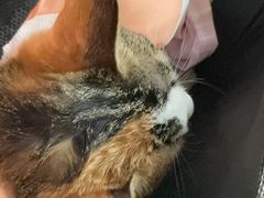 -宠颐生中康贝怡动物医院