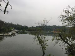 -星湖旅游景区七星岩