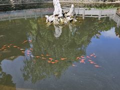 -宝通禅寺