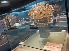 -北京服装学院民族服饰博物馆