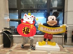 -维也纳国际酒店（上海旅游度假区浦东机场店）-停车点