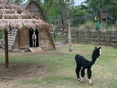 -祥源·阜阳生态乐园